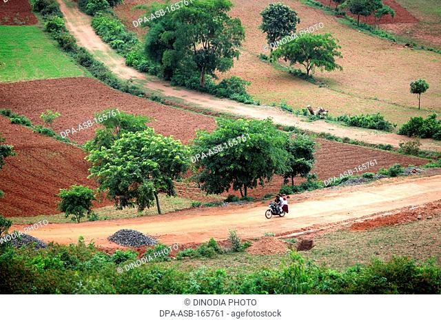 Araku valley on eastern ghats ; Vishakhapatnam ; Andhra Pradesh ; India