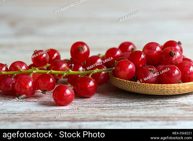 Gooseberry branch on a white table