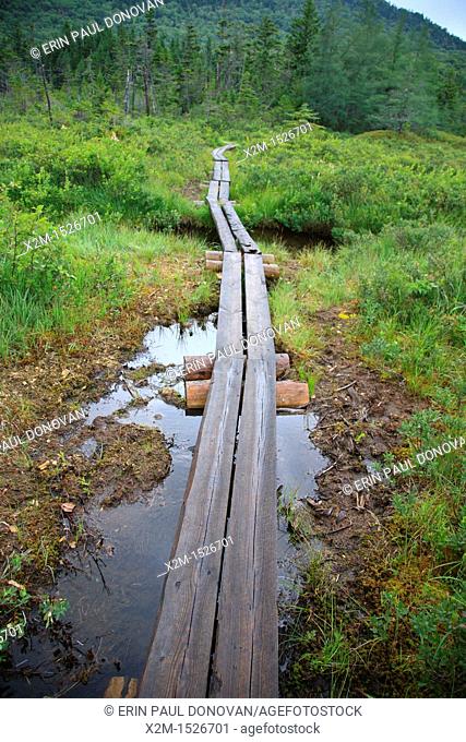 Franconia Notch State Park - Bog bridge on trail next to Lonesome Lake in the White Mountains, New Hampshire USA