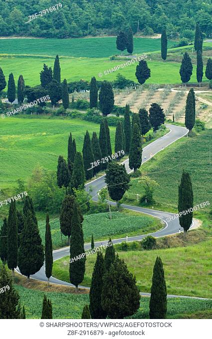 Road from Pienza to Montepulciano, Monticchiello, Val d'Orcia, Siena province, Tuscany, Italy