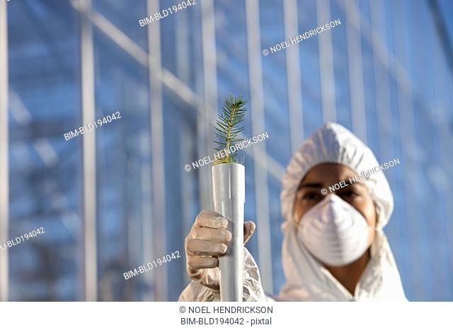 Scientist in clean suit holding tree seedling