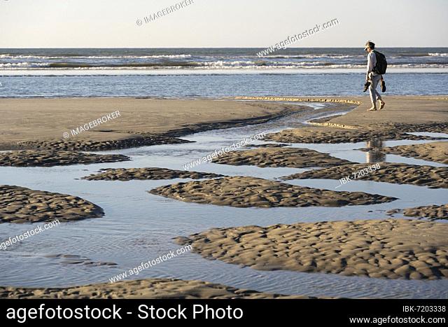 A walker on the beach at low tide with tide pools, Juist Island, Lower Saxony Wadden Sea, North Sea, East Frisia, Lower Saxony, Germany, Europe