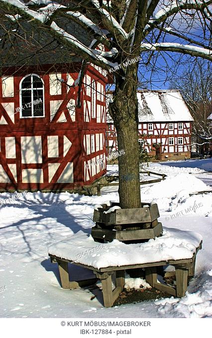 Village centre with framework-houses, lime tree and wooden bench in winter with snow, open-air museum Hessenpark, Neu-Anspach, Germany