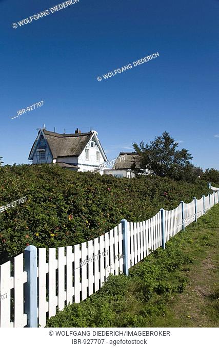 Houses on Graswarder, Heiligenhafen, Baltic Sea, Schleswig-Holstein, Northern Germany, Europe