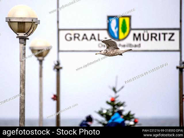 16 December 2023, Mecklenburg-Western Pomerania, Graal-Müritz: A seagull flies over the pier of the Baltic seaside resort