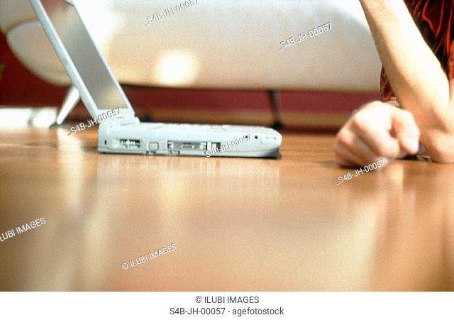 Woman at Laptop - Detail