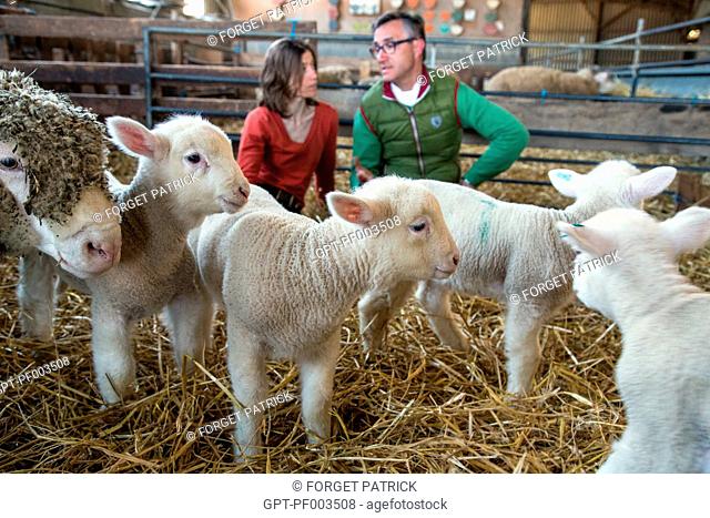 LAURENT CLEMENT, MICHELIN-STARRED CHEF AT THE COURS GABRIEL AND VIRGINIE HERBEAUX, LAMB AND SHEEP FARMER, FARM PRODUCE OF THE LAND OF THE EURE-ET-LOIR