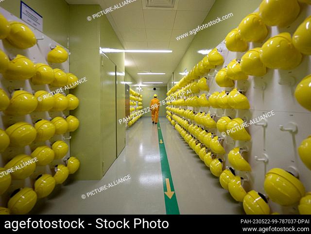 22 May 2023, Baden-Württemberg, Neckarwestheim: Helmets hang on the site of the Neckarwestheim nuclear power plant in the airlock area of the reactor building...