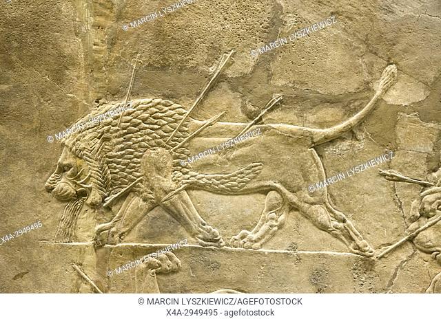 Lion Hunting - Assyrian Alabaster Bas-Relief depicting Dying Male Lion, Circa 645-635 BCE, British Museum, London