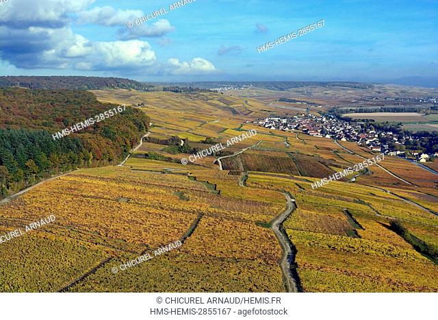France, Marne, Cumieres, the hillsides of Champagne during fall (aerial view)