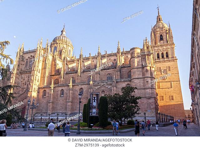 Catedral Nueva de Salamanca. Ciudad Patrimonio de la Humanidad. Castilla León. España