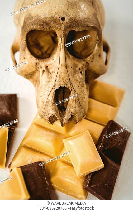 Close up of human skull with chocolate bars