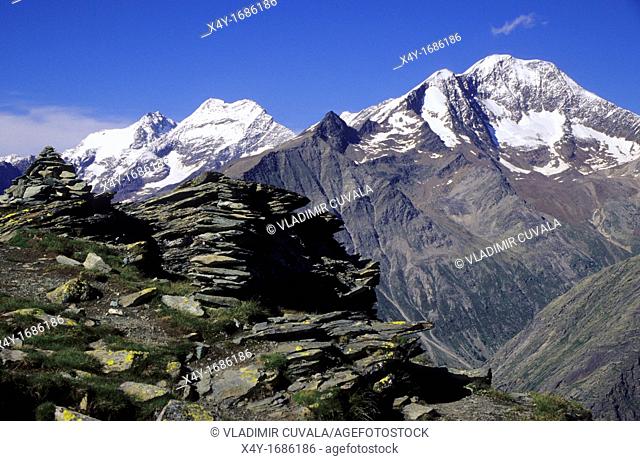 View of the Lagginhorn and Weissmies in Saas valley, Wallis Alps, Switzerland