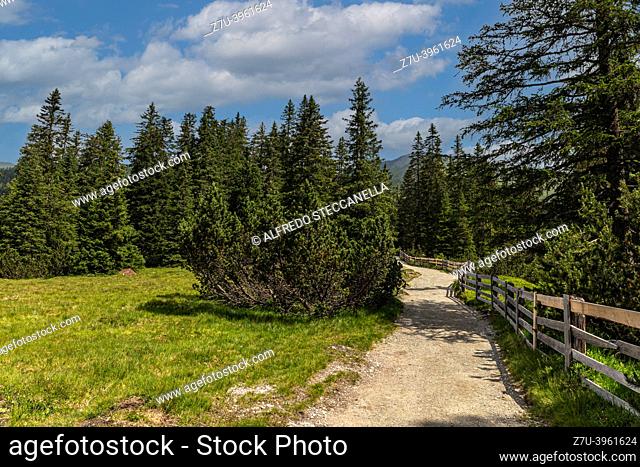 Landscapes, woods, narrow streets of the Dolomite Alps
