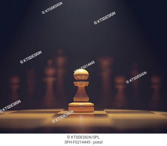 Chess pawn on board