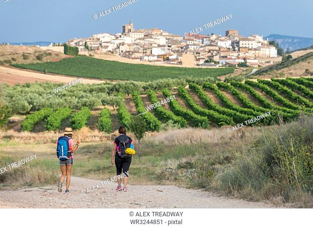 Pilgrims walking the Camino de Santiago (The Way of St. James) towards little village of Cirauqui, Navarre, Spain, Europe