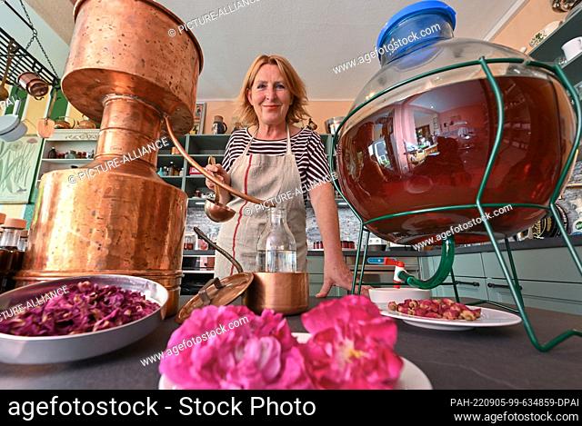 22 August 2022, Brandenburg, Templin: Elena von Gieck, owner of the Templin Rose Laboratory, stands behind dried and fresh rose petals and a copper still in her...