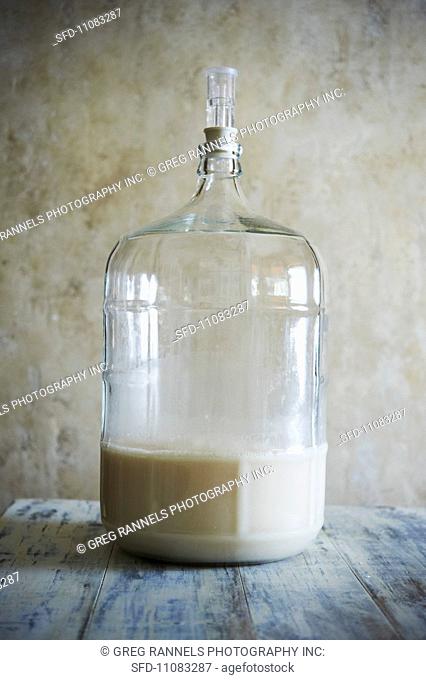 Homebrewed Sake in a Gallon Jug