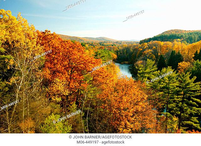 Fall foliage along the Connecticutt River near Turners Falls, Massachusetts. Facing South. USA