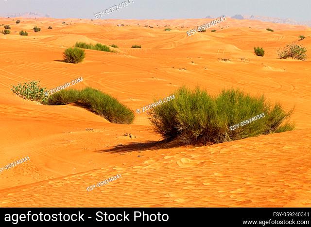 Desert in United Arab Emirates