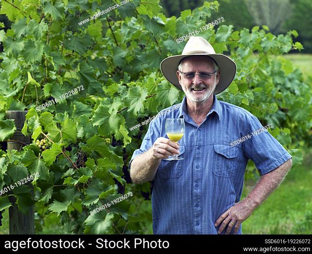 Winegrower sampling glass of grape juice amongst grapevines in vineyard