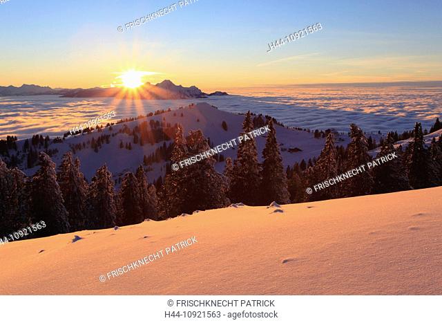 Evening, evening light, Alp, Alps, afterglow, alpenglow, view, mountain, mountains, mountain, mountain panorama, Bernese Alps, mountains, back light