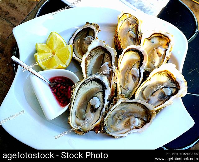 Oysters on a plate with shallot vinegar and lemon