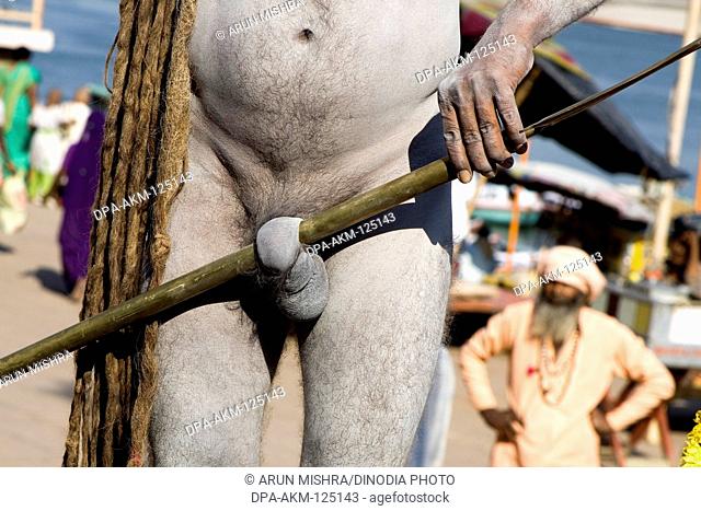 Hindu saint naga baba Shivdasgiri warping his penis in trishul rod in Varanasi on Ganga river ; Uttar Pradesh ; India MR707A
