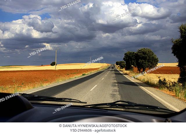 Road from La Solana to Villanueva de los Infantes, Ciudad Real, Castile-La Mancha, Spain, Europe