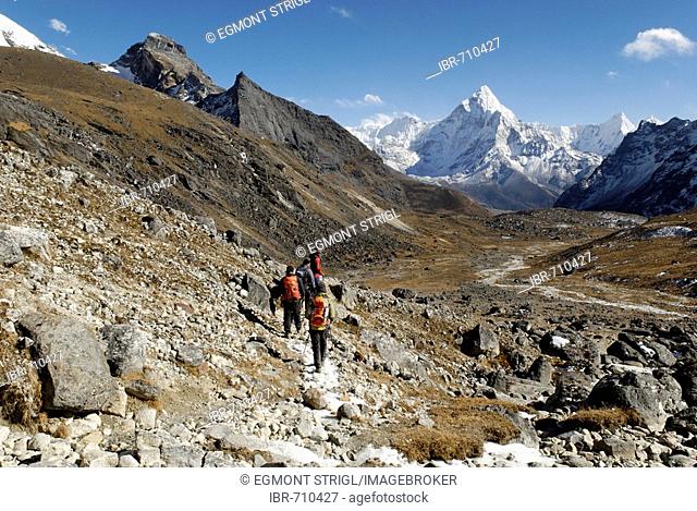 Chola Khola valley with Ama Dablam (6856), Khumbu Himal, Sagarmatha National Park, Nepal