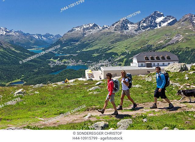 Canton, Graubünden, Grisons, Switzerland, Europe, Engadin, Engadine, Upper Engadine, walking, hiking, trekking, Piz Bernina, Piz Palü, Bernina, Muottas Muragl