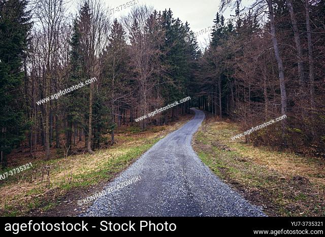 Road in forest to Cab Mountain near Vsetin city in Beskids Mountains, Moravian Wallachia region of Czech Republic