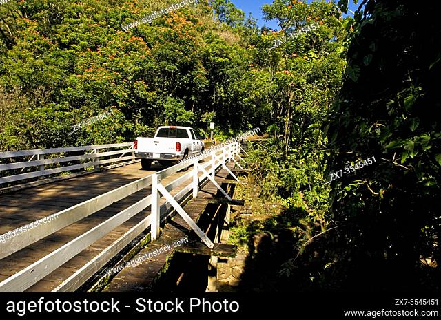 Panoramic Route Pepe'ekeo. Big Island. Hawaii. Pepe'ekeo scenic drive. The Pepeâ. . ekeo (also known as the Onomea bay) scenic drive is the most famous scenic...