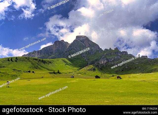 Sass de Putia in Summer, Dolomites, South Tyrol, Italy, Europe