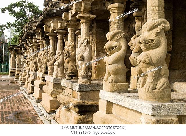 Lion Pillars in  Kailasanatha temple in Kanchipuram near Chennai, Tamil Nadu, India. The temple was built by Pallava King Narasimhavarman II (Rajasimhan) and...
