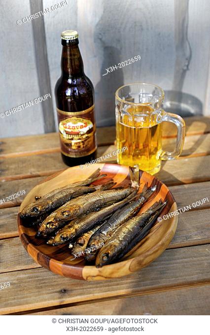 herrings and local beer, Kemeri, Jurmala, Gulf of Riga, Latvia, Baltic region, Northern Europe