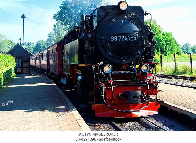 Brockenbahn, Brocken Railway, arriving at Wernigerode station, Wernigerode, Harz, Saxony-Anhalt, Germany