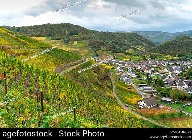 On the red wine hiking trail in the Ahrtal in Rhineland-Palatinate, Germany. A tourist attraction, especially in autumn