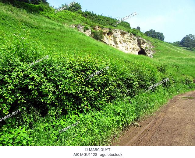 Nature reserve Bemelerberg in Limburg, Netherlands. Merl cave in green grass covered low hill. Hedge along a dirt road below the slope