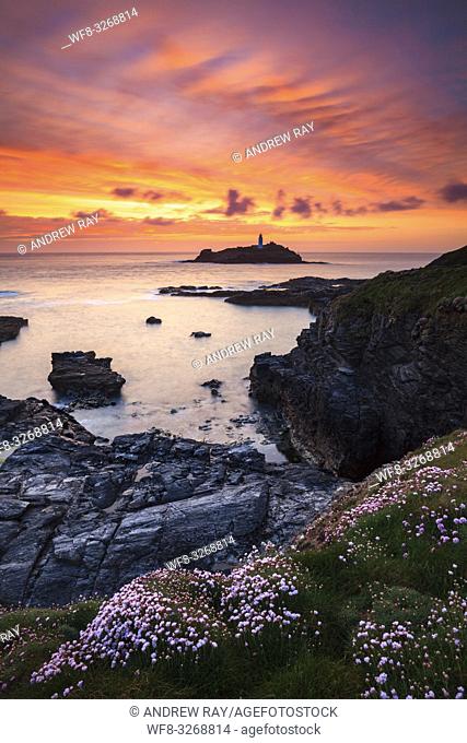 A beautiful sunset captured in May from the cliff top at Godrevy on the North Coast of Cornwall, with sea thrift in the foreground