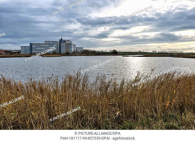 11 November 2018, Schleswig-Holstein, Heiligenhafen: The new complex ""Ferienpark"" with the so called Aktiv Hus behind a meadow in the nature reserve...