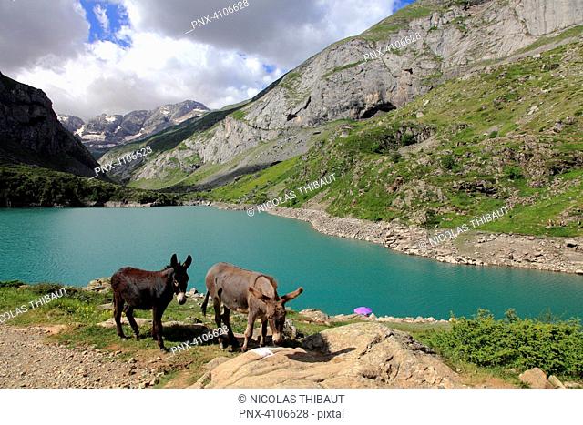 France, Occitanie, Hautes Pyrenees department (65), Gavarnie Gedre, des gloriettes lake and Estaube cirque (Unesco world heritage)