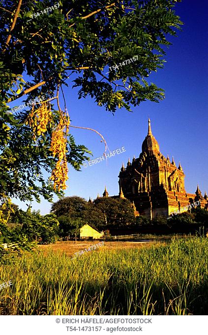 Htilominlo Pagoda, Bagan / Myanmar