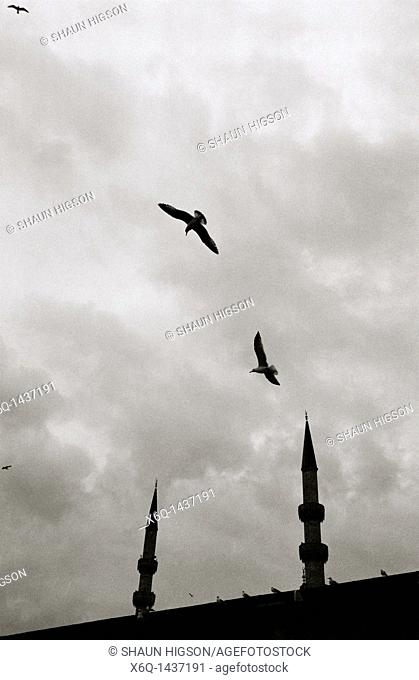 Silhouetted minarets in Istanbul in Turkey in the Middle East