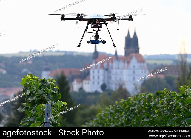 23 September 2020, Saxony, Meißen: A Hexakopter XR6 by Geo-Konzept flies over a vineyard in front of the Albrechtsburg with the cathedral on the occasion of a...