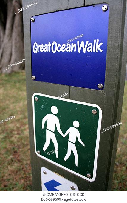 Hiking path: Great Ocean Walk, Apollo Bay, Great Ocean Road, Victoria, Australia
