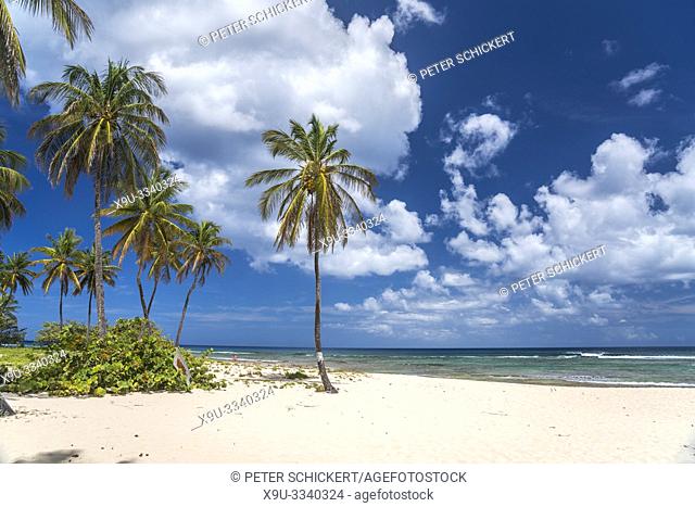 Plage de la Chapelle beach, Anse Bertrand, Grande-Terre, Guadeloupe, France