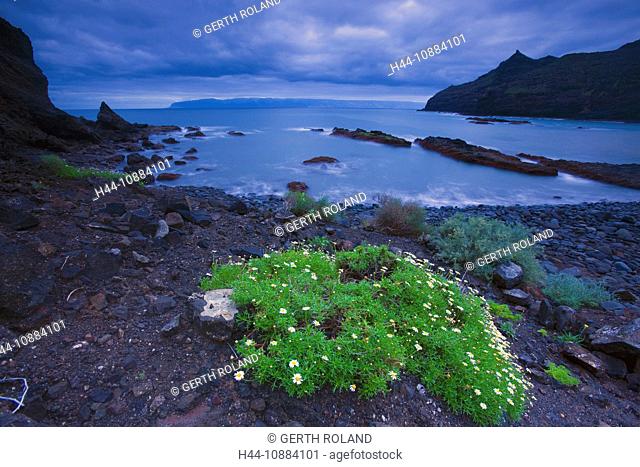 Playa de la Caleta, Spain, Europe, Canary islands, isles, La Gomera, island, isle, beach, seashore, plants, daybreak, rock, cliff, sea, Atlantic