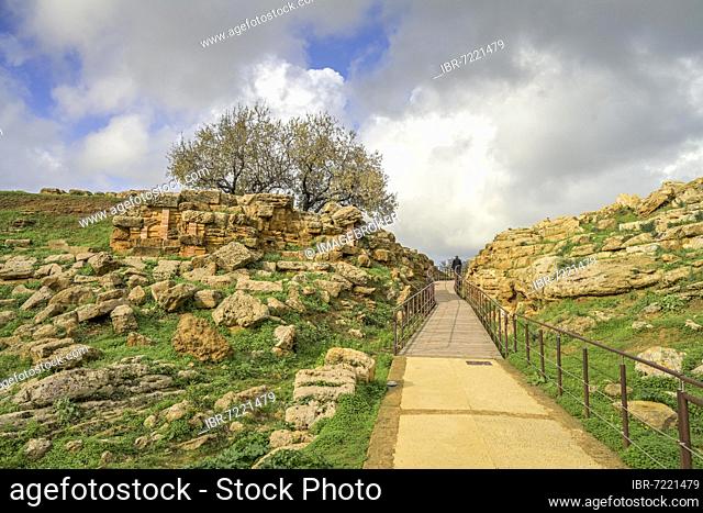 Porta V, Valle dei Templi (Valley of the Temples) Archaeological Park, Agrigento, Sicily, Italy, Europe