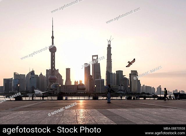 Kite flying at the Bund, waterfront, sunrise, Shanghai, China